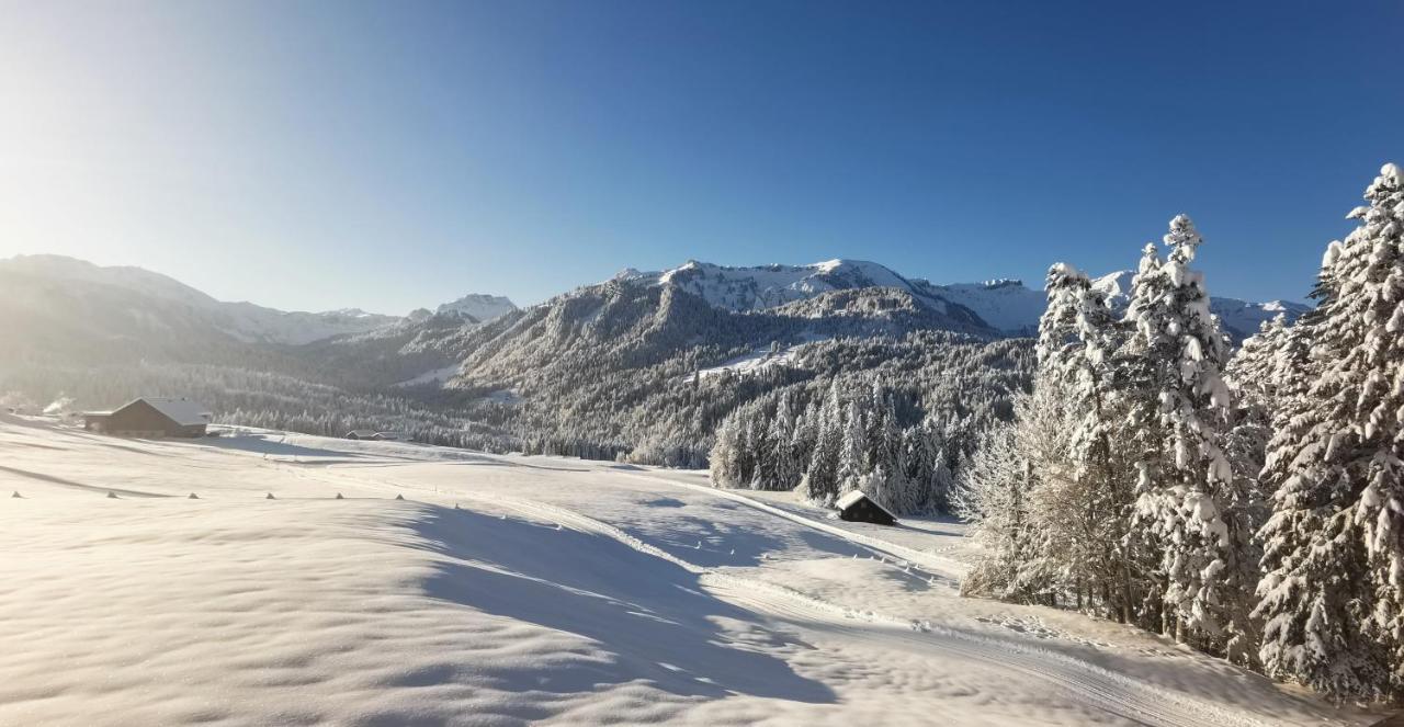Haus Kipfen Appartement Sibratsgfäll Buitenkant foto